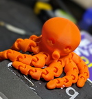 octopus0